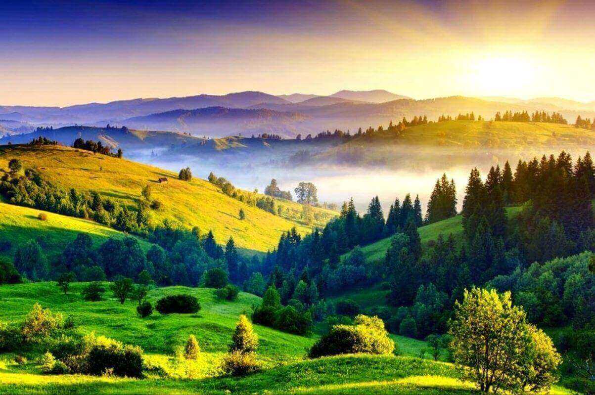 Holiday in the Hill Ooty with Kodaikanal tour packages 